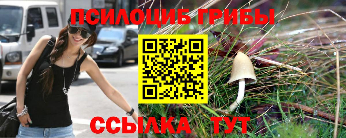 Псилоцибиновые грибы GOLDEN TEACHER  Вход с VPN  Псилоцибиновые грибы Psilocybine cubensis  Железногорск 